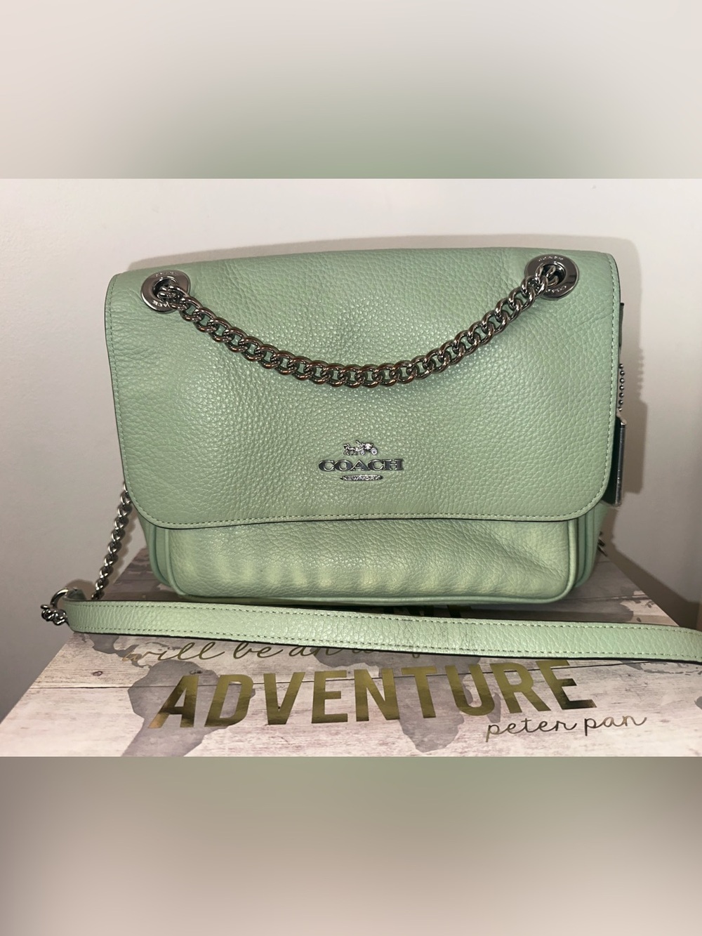 Pistachio Coach Klare Crossbody 25 in Pebbled Leather